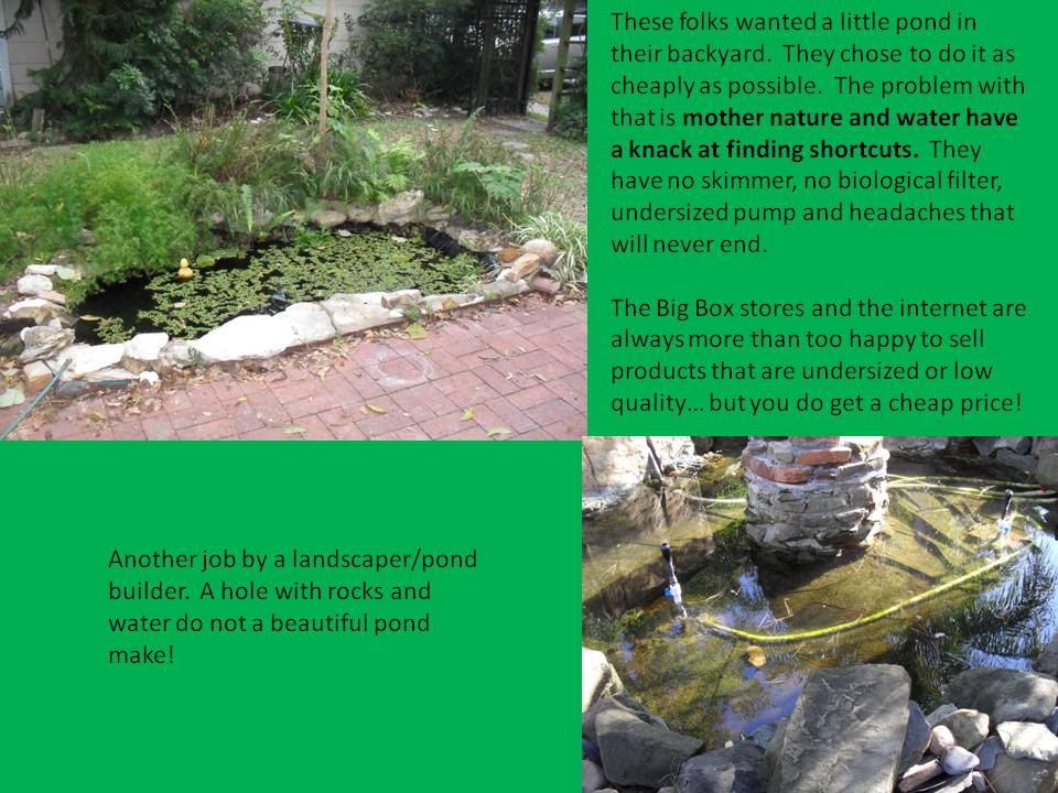 magnolia ponds and water Gardens, The Woodlands, Spring, Texas